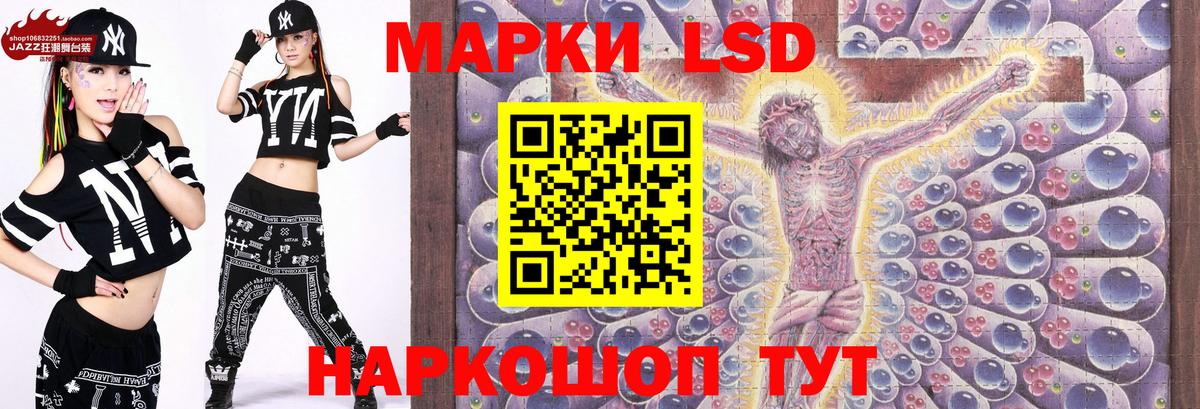 Сланцы  Наркотические марки 1,8мг  Вход с VPN  Наркотические марки 1,8мг 