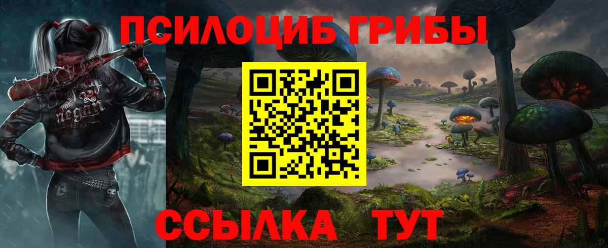 Псилоцибиновые грибы GOLDEN TEACHER  Вход с VPN  Сланцы  Псилоцибиновые грибы MAGIC MUSHROOMS 