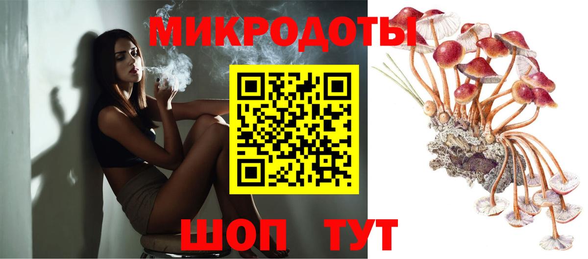 Псилоцибиновые грибы прущие грибы Сланцы